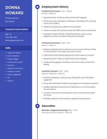 Professional Surveyor Resume