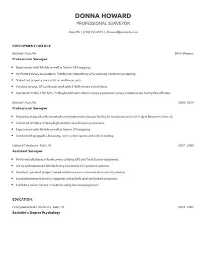 Professional Surveyor Resume