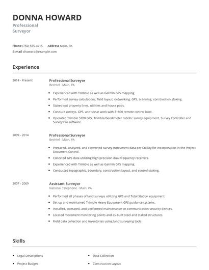 Professional Surveyor Resume