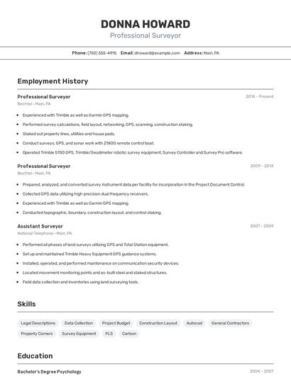Professional Surveyor Resume