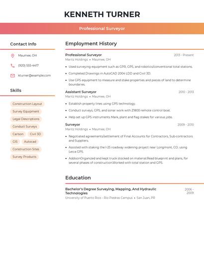 Professional Surveyor Resume