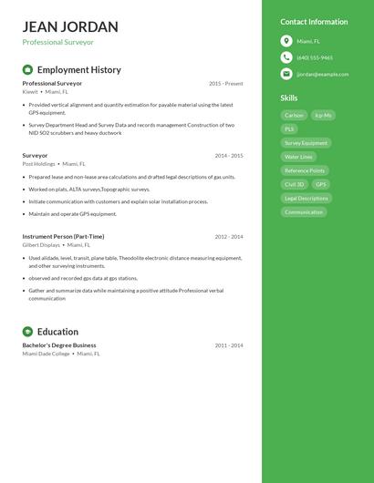 Professional Surveyor Resume