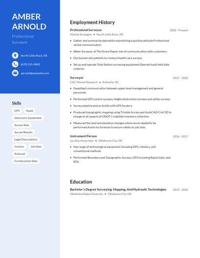 Professional Surveyor Resume