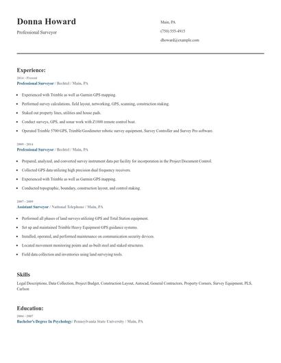Professional Surveyor Resume
