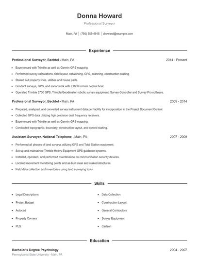 Professional Surveyor Resume