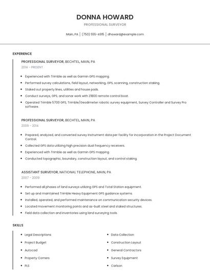 Professional Surveyor Resume