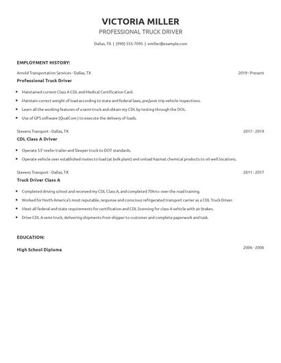 Professional Truck Driver Resume
