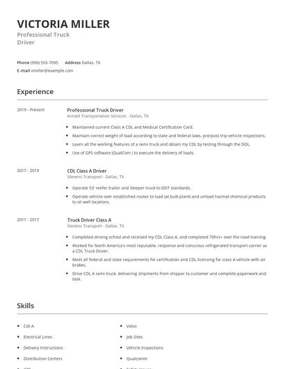 Professional Truck Driver Resume