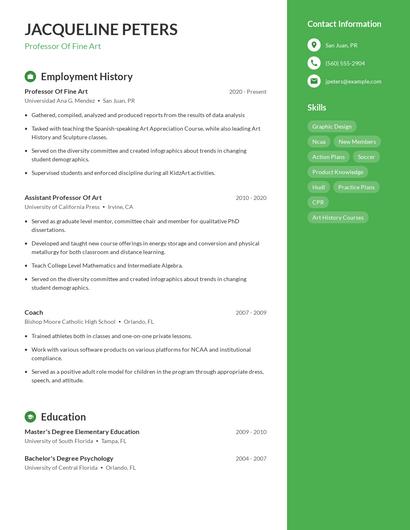 Professor Of Fine Art Resume