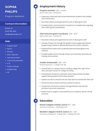 Resume example 4
