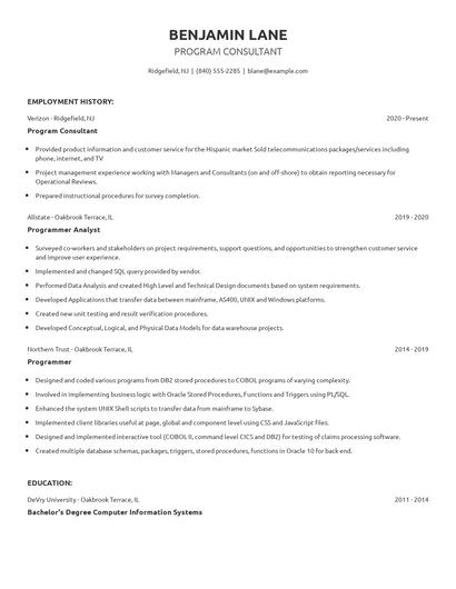 Program Consultant Resume