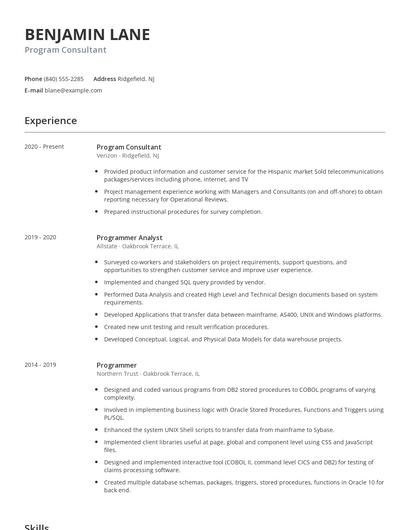 Program Consultant Resume