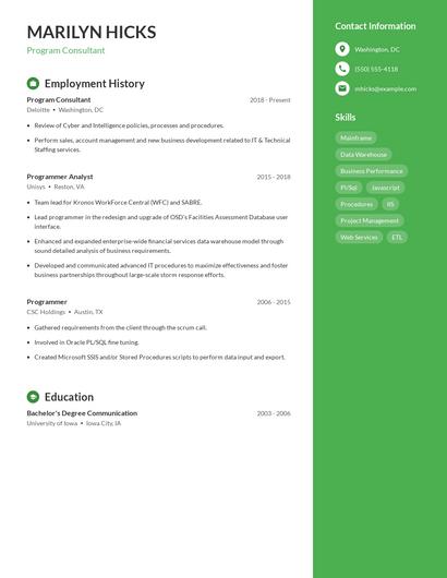 Program Consultant Resume