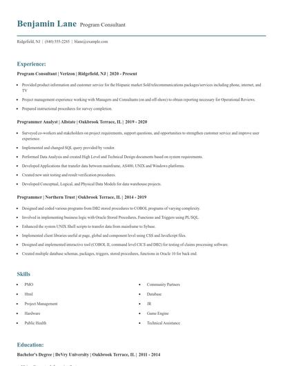 Program Consultant Resume