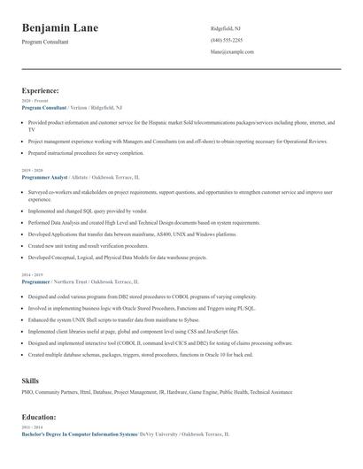Program Consultant Resume