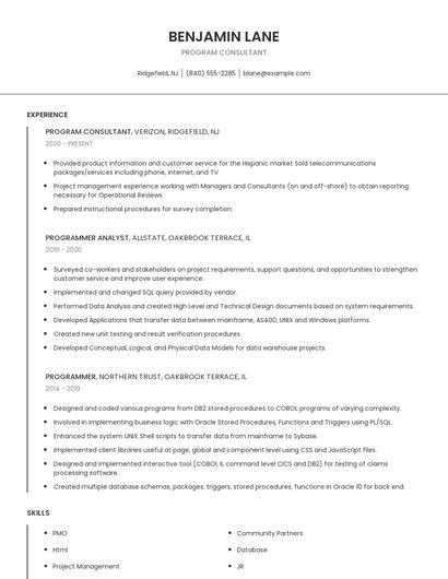 Program Consultant Resume