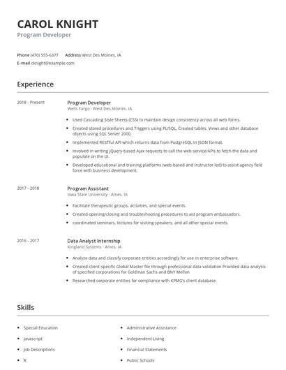 Program Developer Resume