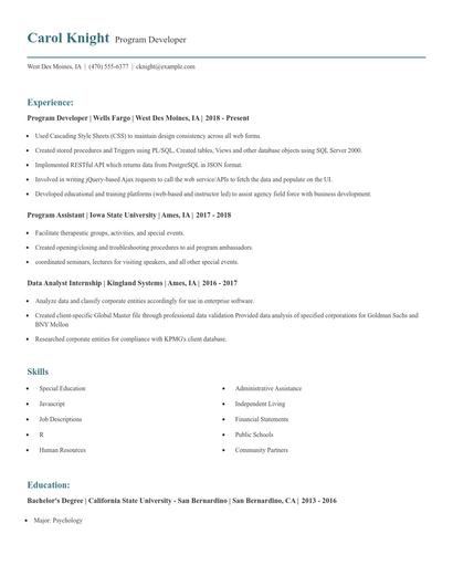 Program Developer Resume