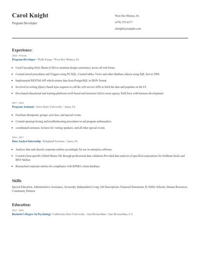 Program Developer Resume