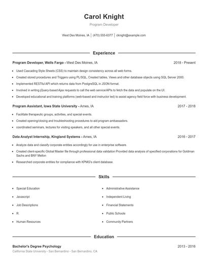 Program Developer Resume