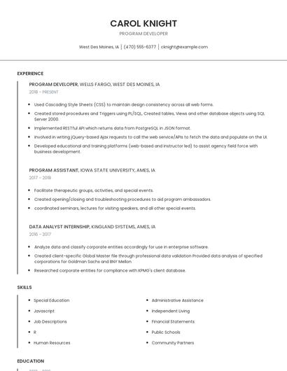 Program Developer Resume
