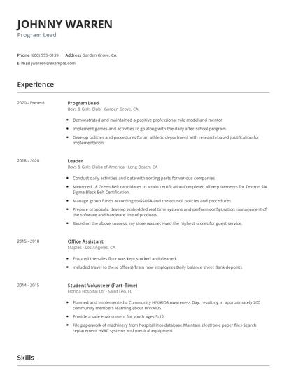 Program Lead Resume