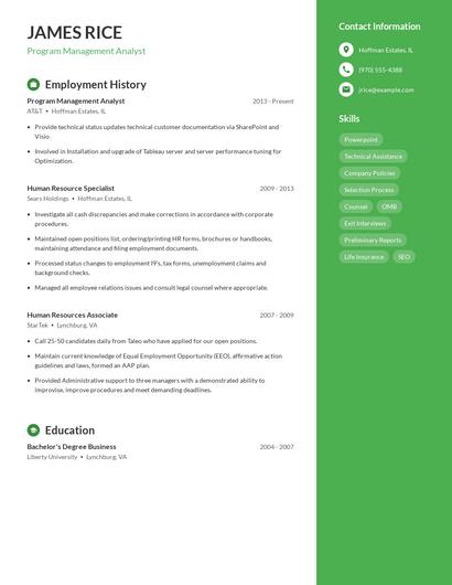 Resume example 5