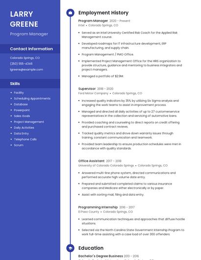 Resume example 5
