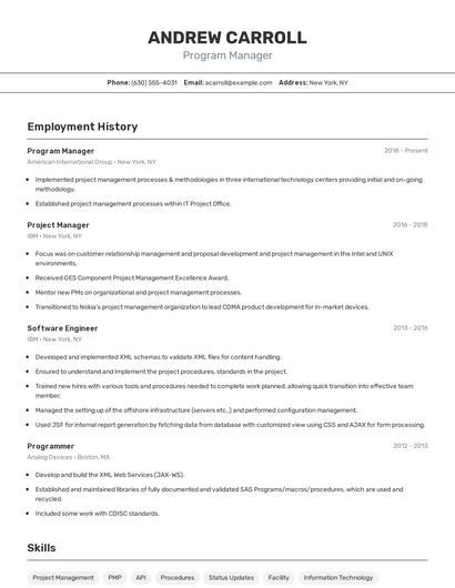 Resume example 2