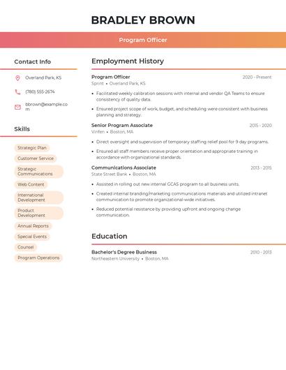 Resume example 3