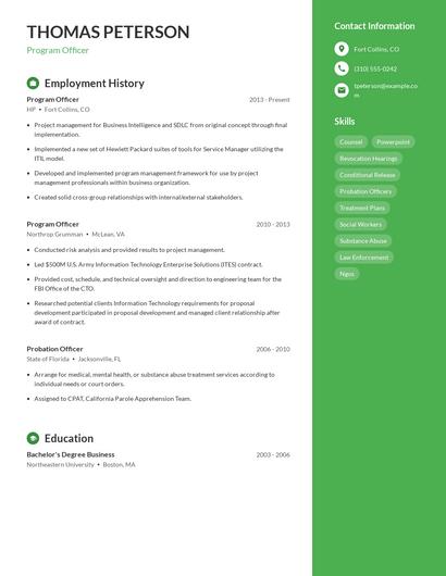 Resume example 5