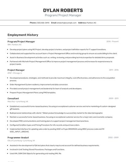 Resume example 2