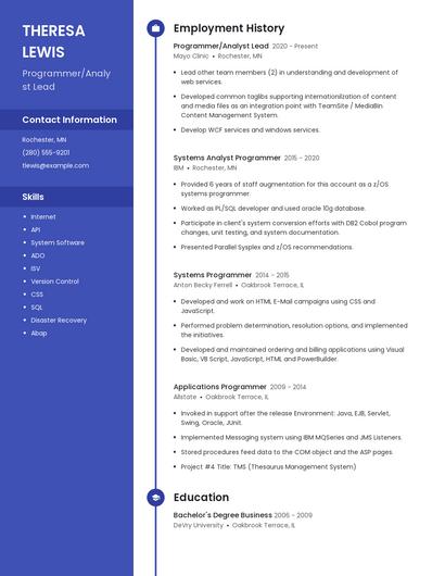 Resume example 4