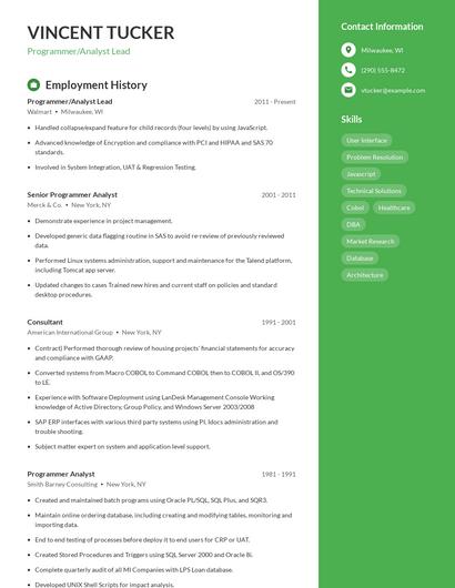 Resume example 5