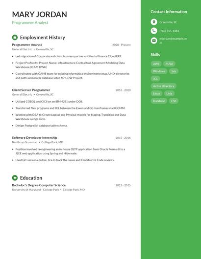 Resume example 4