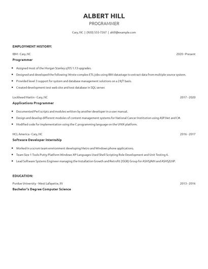 Programmer Resume