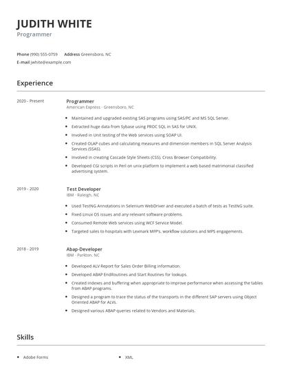 Programmer Resume
