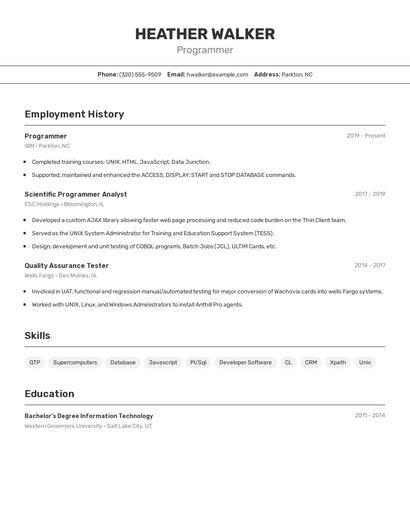 Resume example 2