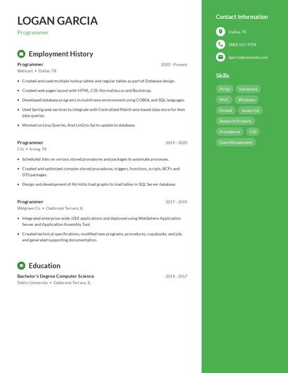 Resume example 4