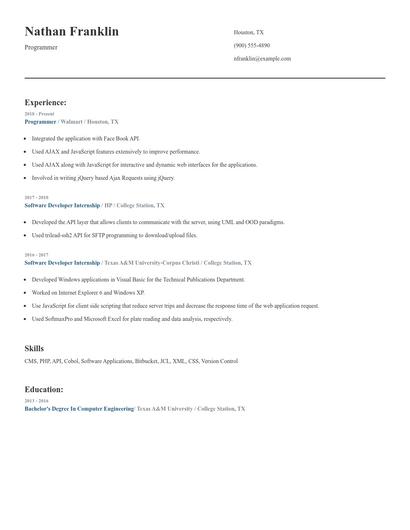 Programmer Resume