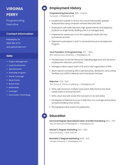 Programming Executive Resume