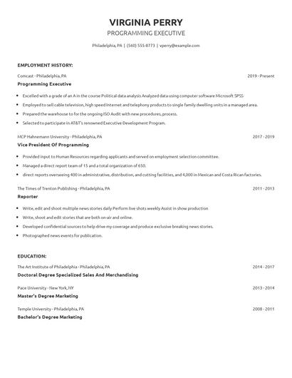Programming Executive Resume