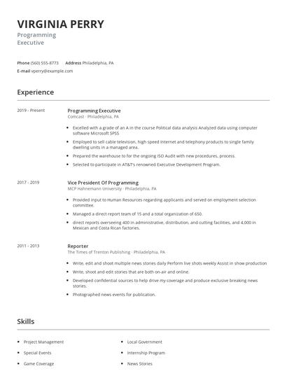 Programming Executive Resume