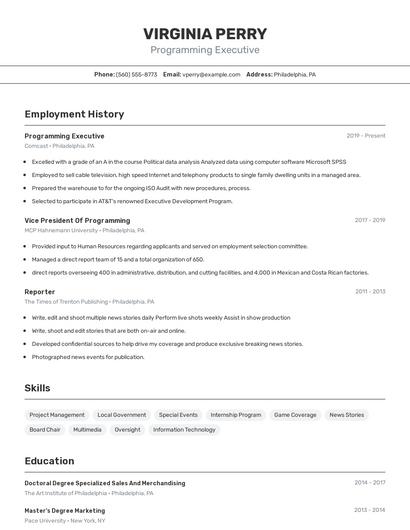 Programming Executive Resume
