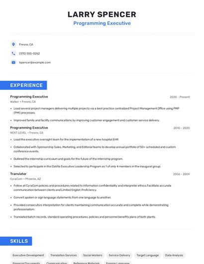 Programming Executive Resume