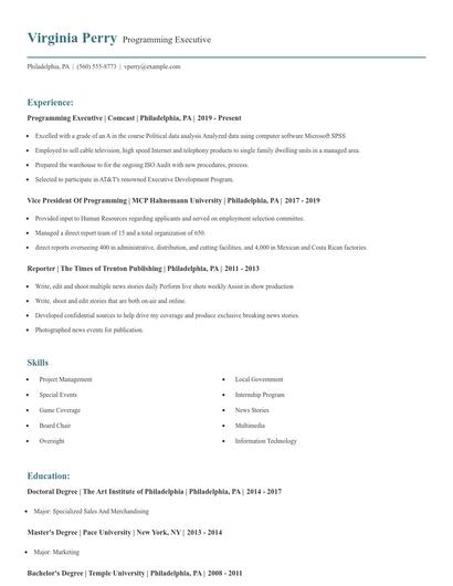 Programming Executive Resume