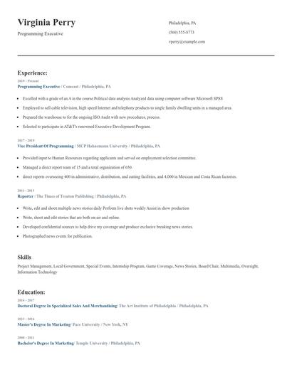 Programming Executive Resume