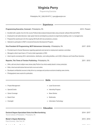Programming Executive Resume