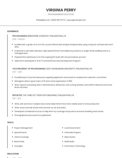 Programming Executive Resume
