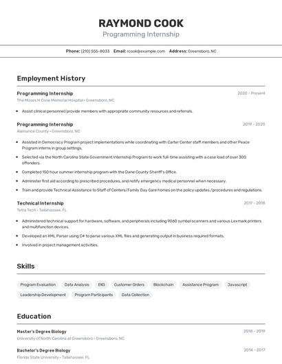 Resume example 2